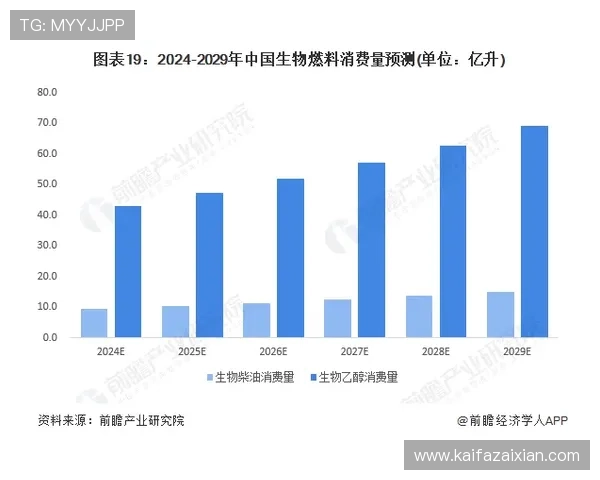 凯发集团娱乐：未来发展战略与创新方向分析