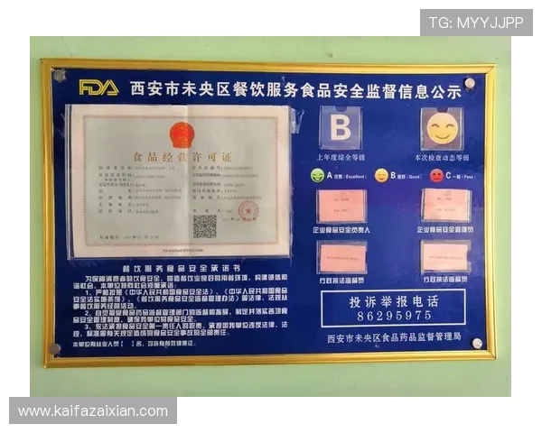 凯发娱乐官方首页安全保障措施，保障玩家个人信息和资金安全的全面措施