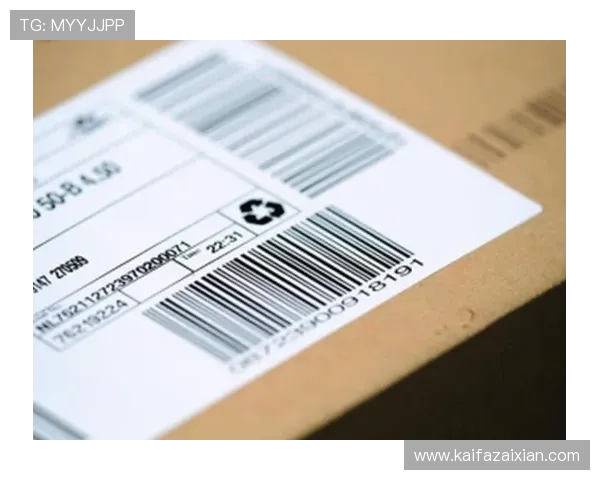 凯发手机网址安全保障措施,保障玩家账号信息与资金安全 凯发手机网址安全保障措施,保障玩家账号信息与资金安全